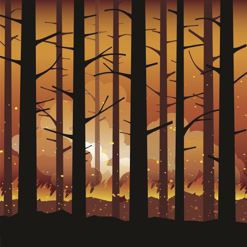 Wildfires in the Western US